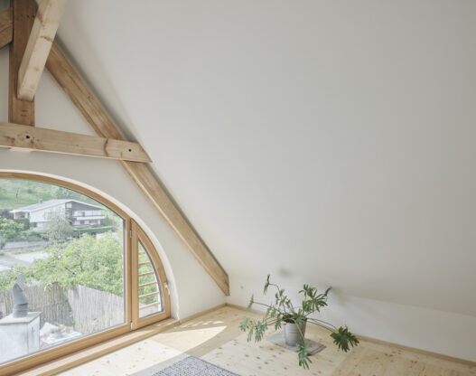 OEOOO_HAUS SCHATZMANN_SCHWARZ_GROEFLER_07_schreyerdavid
