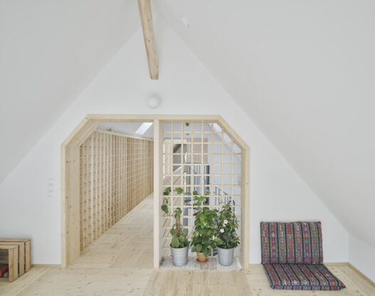 OEOOO_HAUS SCHATZMANN_SCHWARZ_GROEFLER_08_schreyerdavid